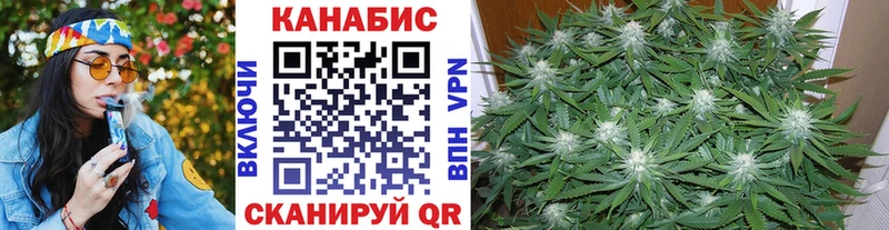 APVP Багратионовск