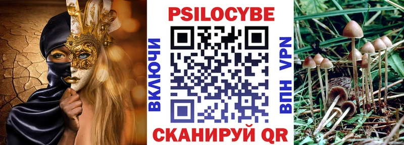 Галлюциногенные грибы MAGIC MUSHROOMS Багратионовск