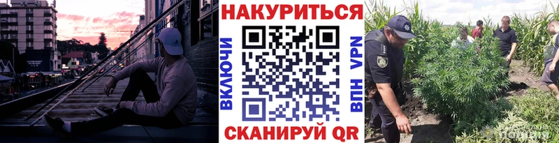 МАРИХУАНА семена  Купить  Багратионовск 